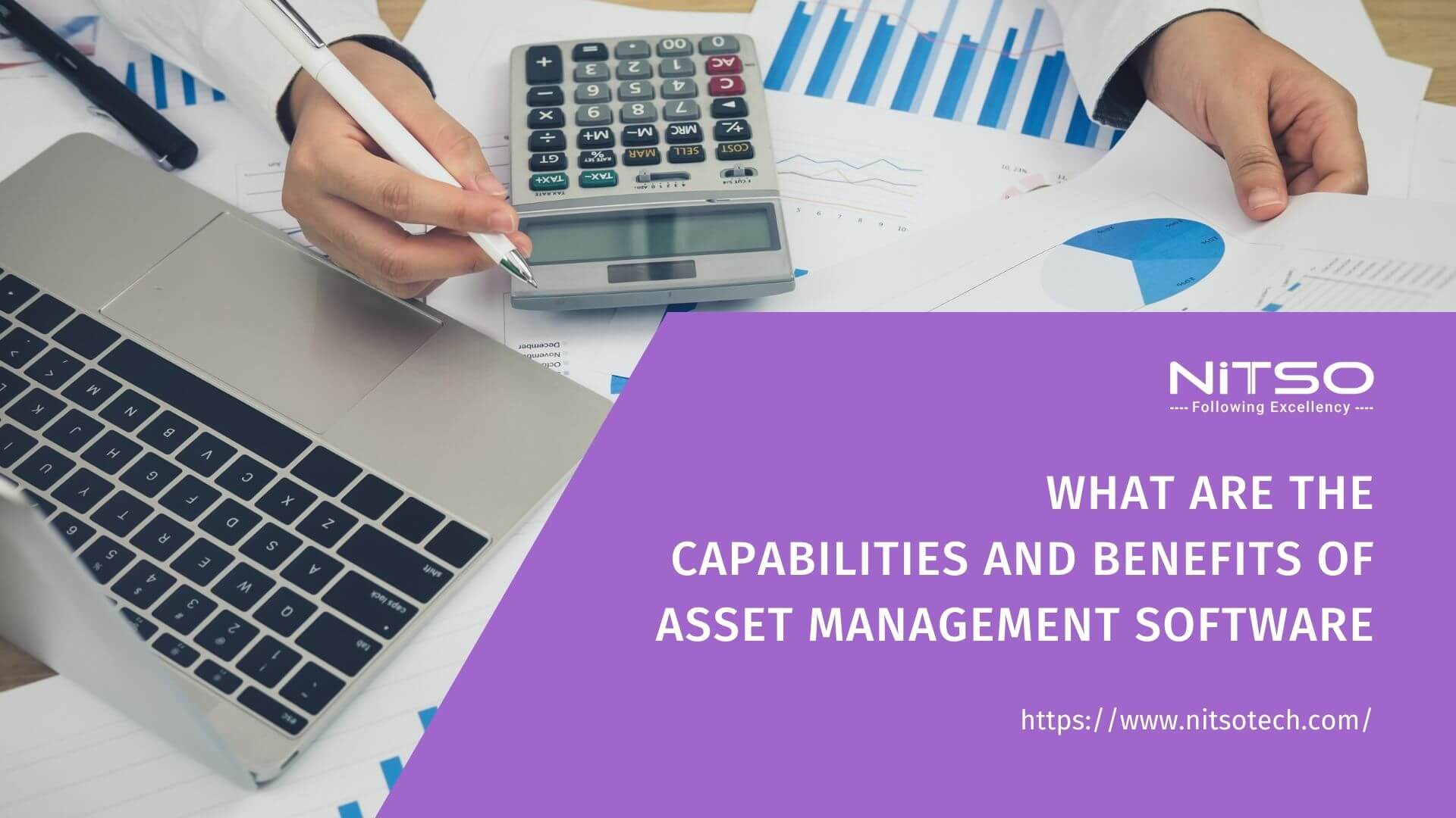 What Does Asset Management Software Do?